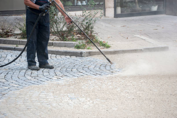Best Roof Washing  in Elmwood, LA