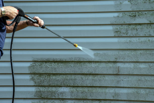 Best Building Exterior Washing  in Elmwood, LA